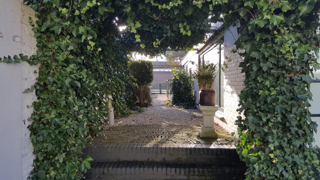Appartement Alicja Zandvoort Oda fotoğraf